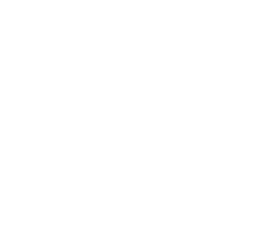 Apache Adaptive Solutions