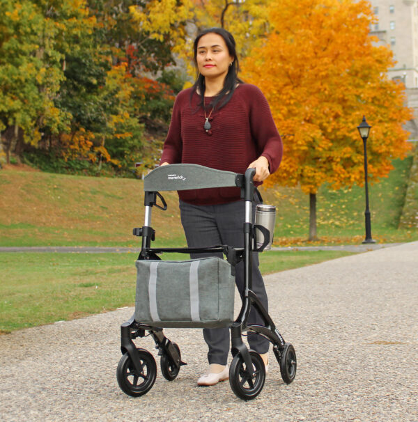 Triumph Maverick Rollator