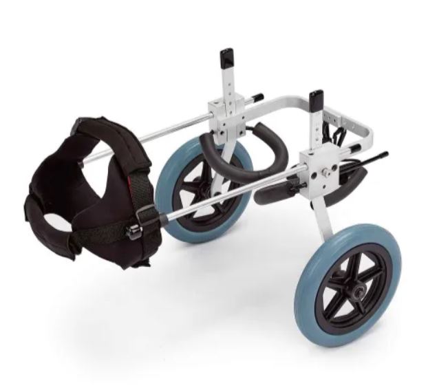 dog wheelchair medium